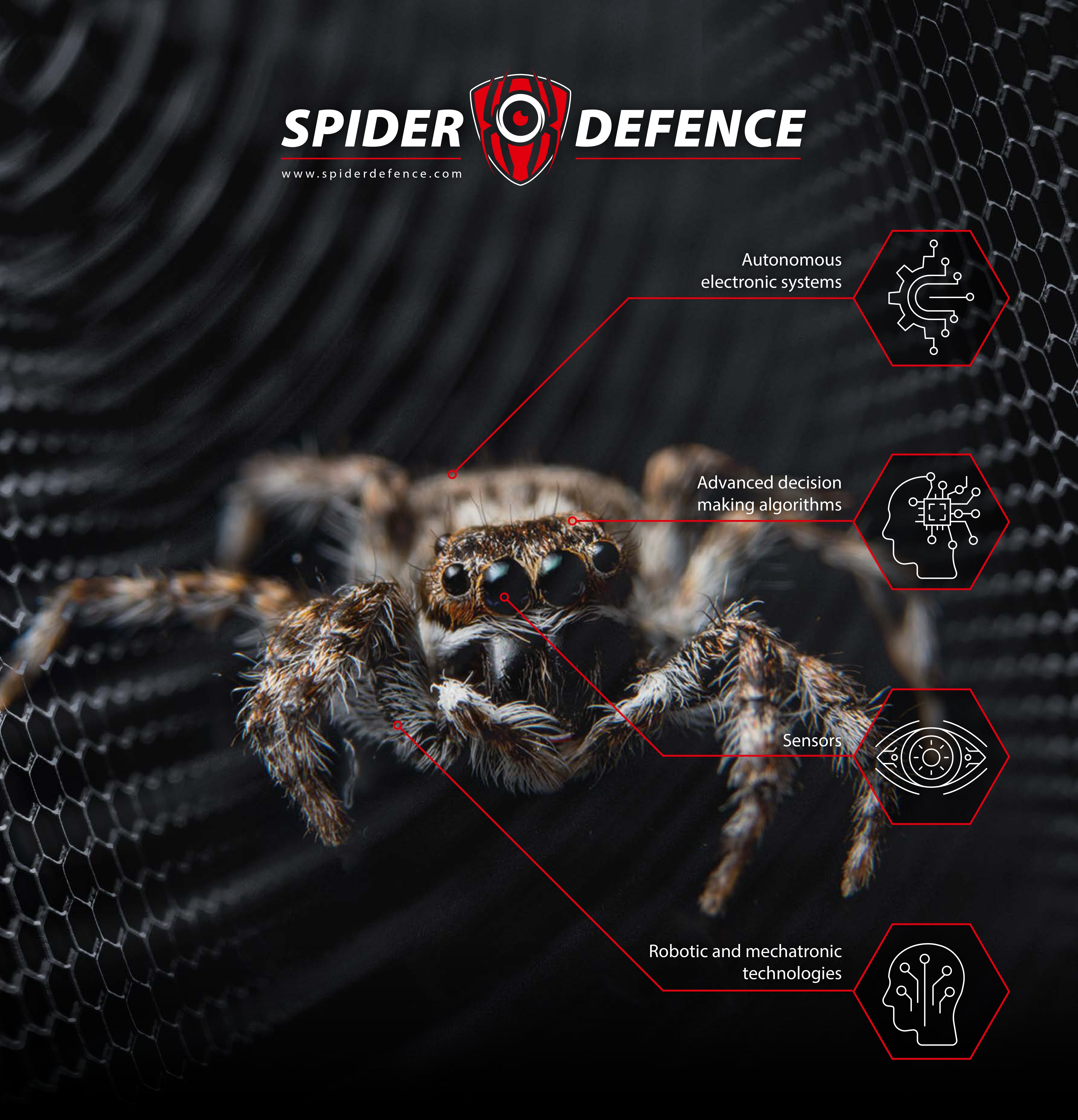 Spider Defence